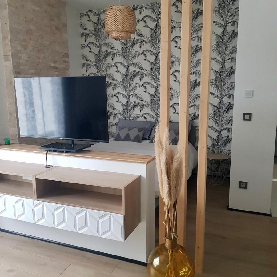 Studio Calme-Equipements Haut De Gamme Sarreguemines Exterior foto